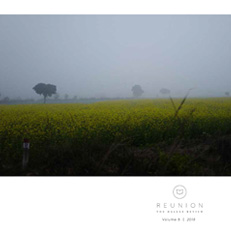 A field on the cover of Issue 8 of Reunion: The Dallas Review